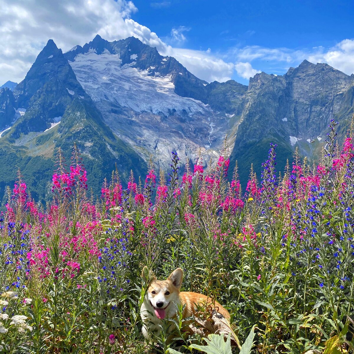 Домбай во всей красе! Тур, который влюбляет в горы! (42/80)