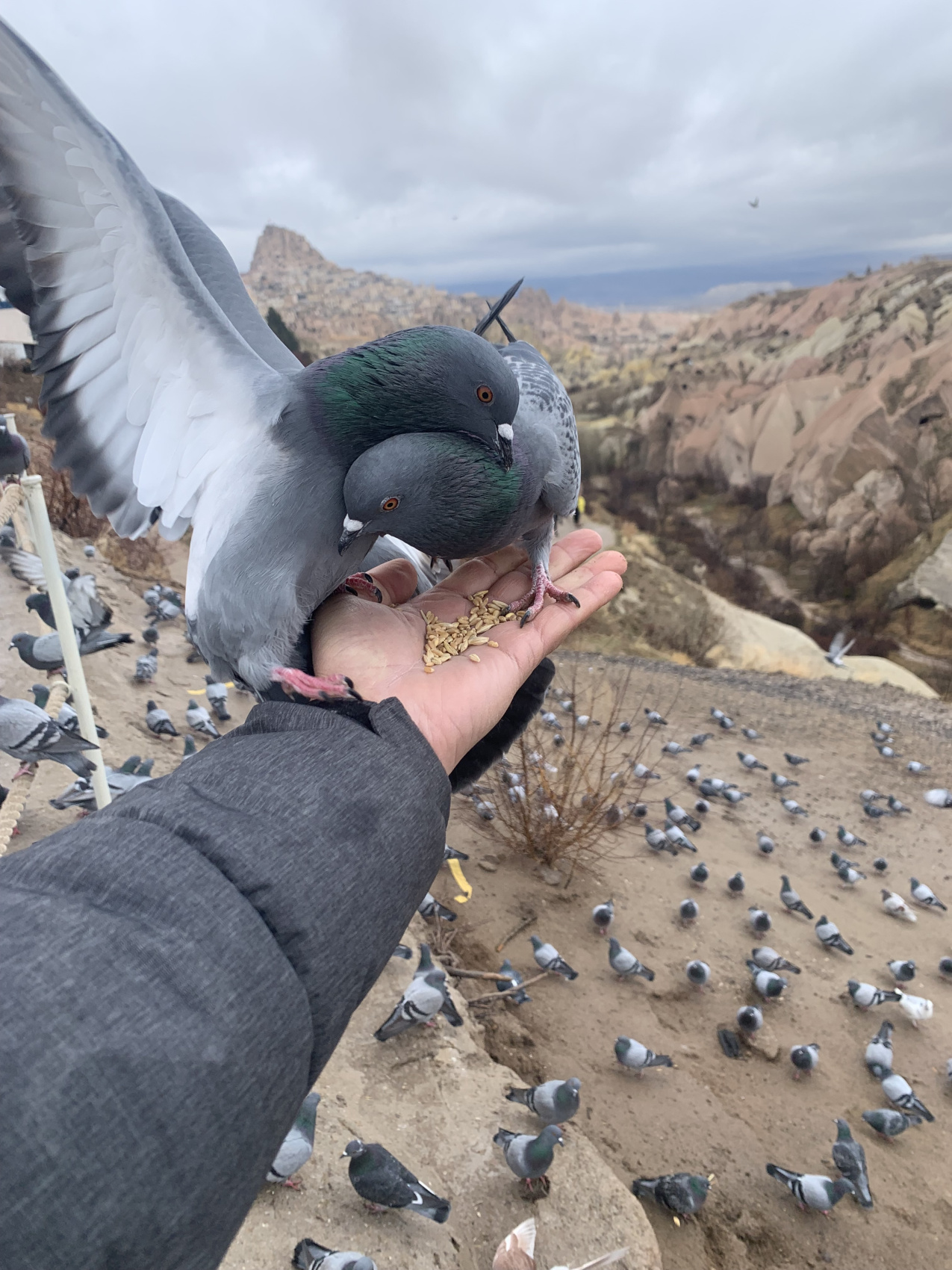 От Месопотамии до Каппадокии  7 ночей / 8 дней (42/171)