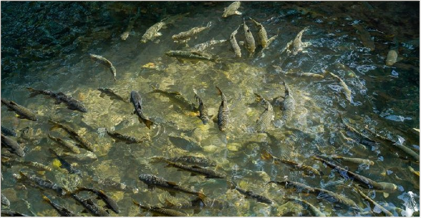 От Месопотамии до Каппадокии  7 ночей / 8 дней (18/171)