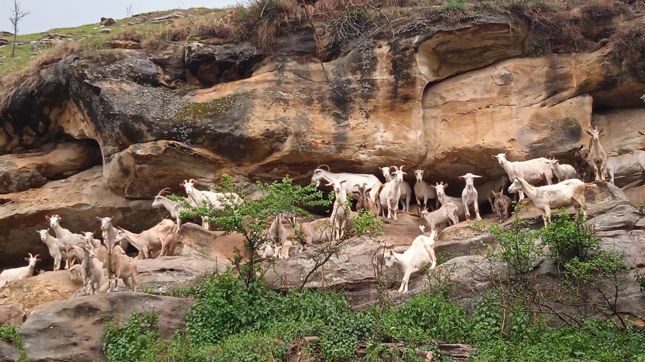 Идеальный отпуск в горах: топовые места Кавказа за неделю! (39/53)