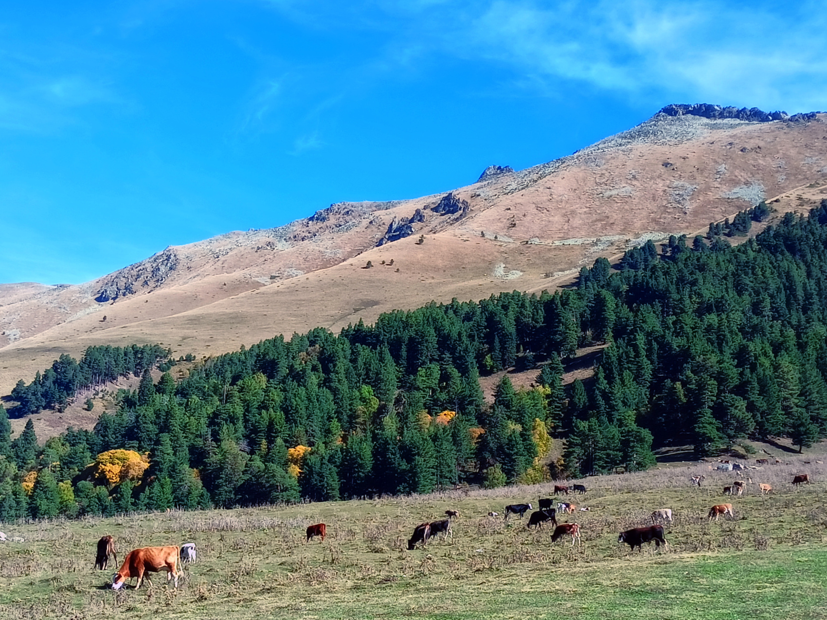 Архыз-Домбай экскурсионный (3/63)