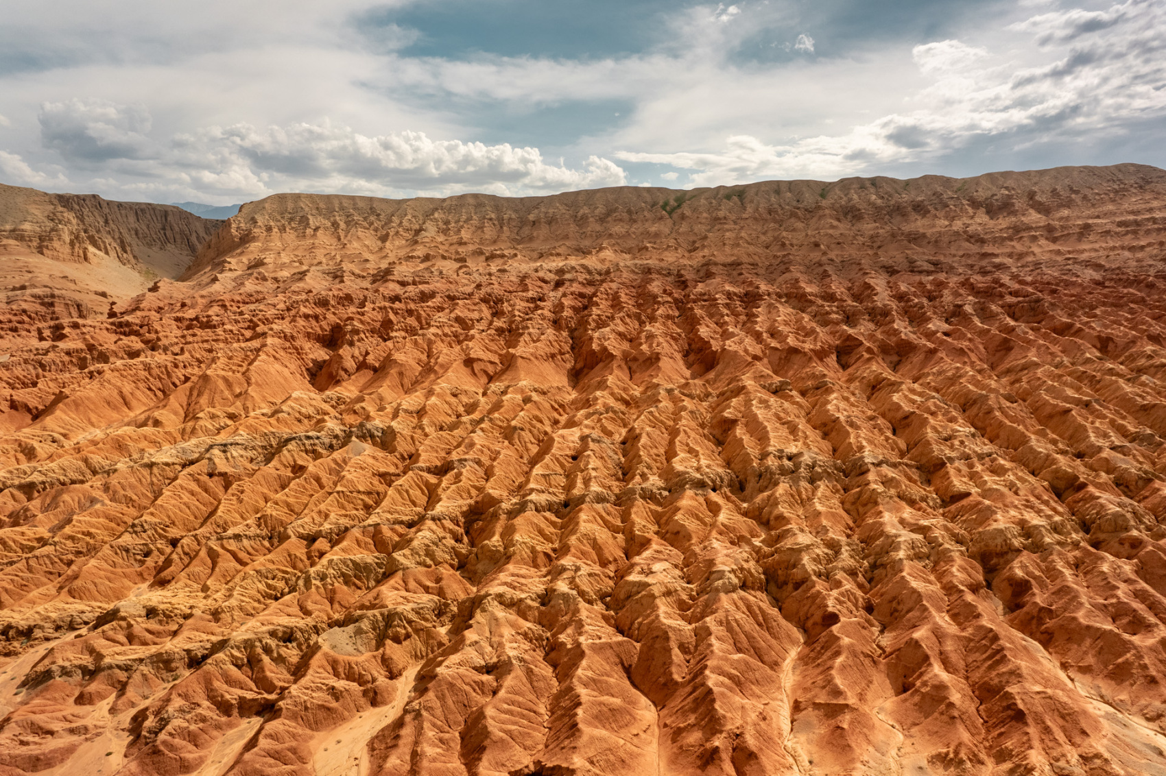 Большая Монголия. Сфинксы, каньоны и пески (15/79)