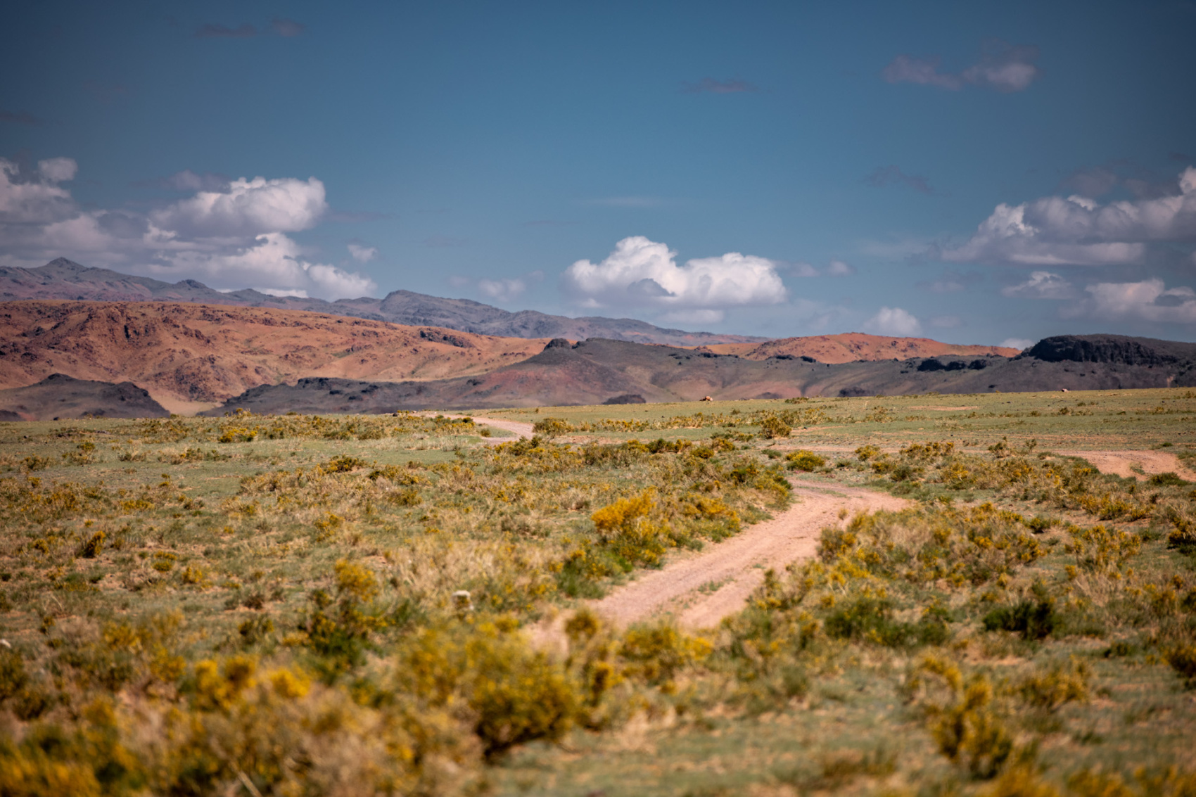 Большая Монголия. Сфинксы, каньоны и пески (10/79)