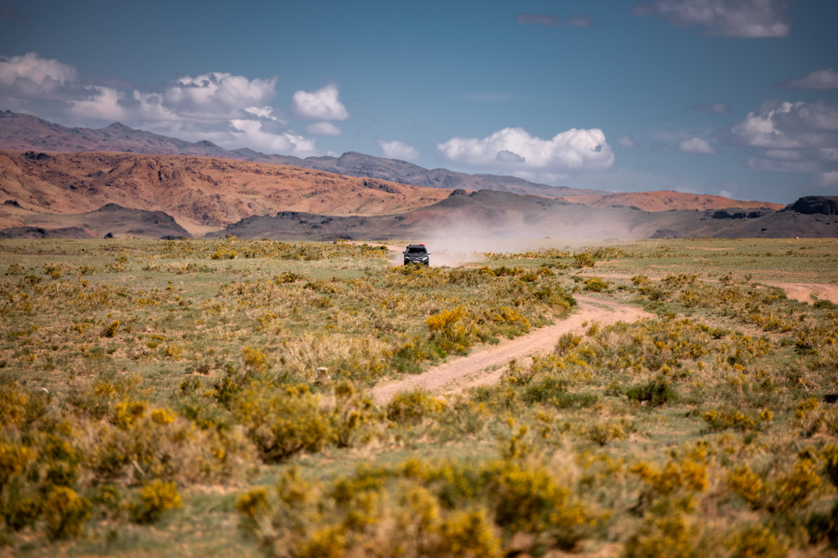 Большая Монголия. Сфинксы, каньоны и пески (8/79)