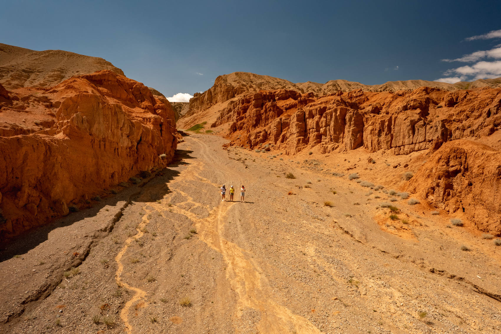 Большая Монголия. Сфинксы, каньоны и пески (21/79)