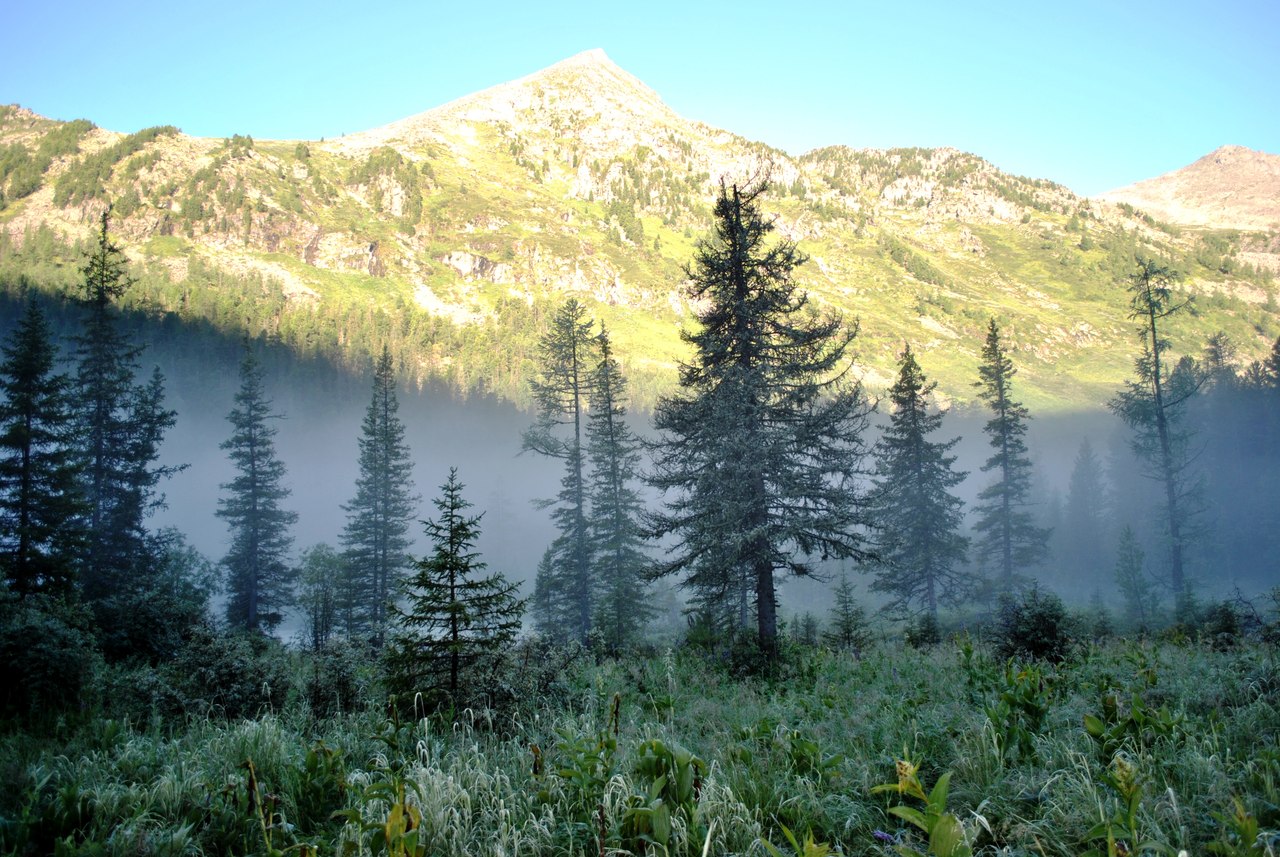 Алтай. Треккинг к горным озерам (16/49)