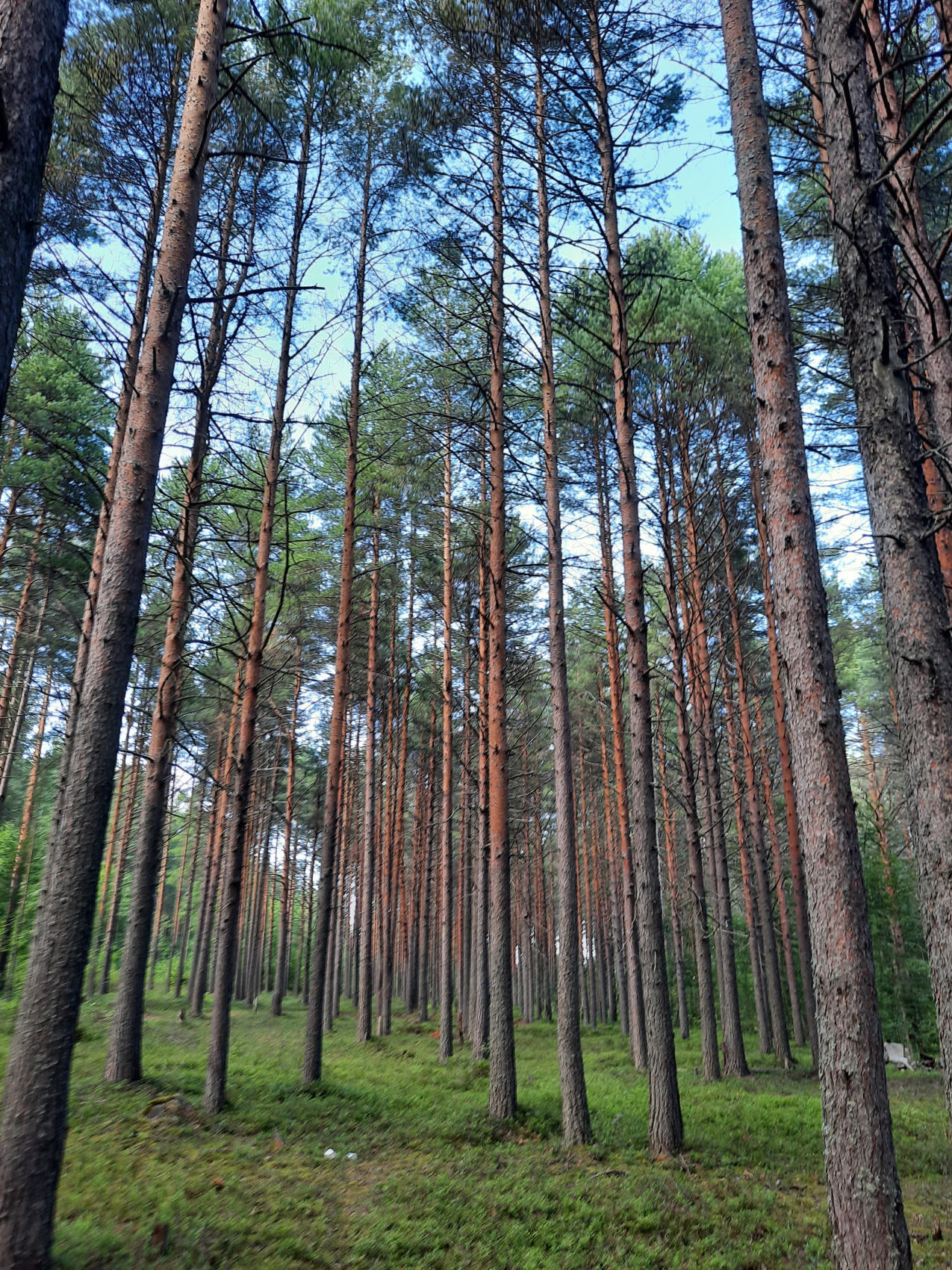 Уникальная Карелия: заповедные места , уютный глэмпинг и активности. Мини группа (13/45)