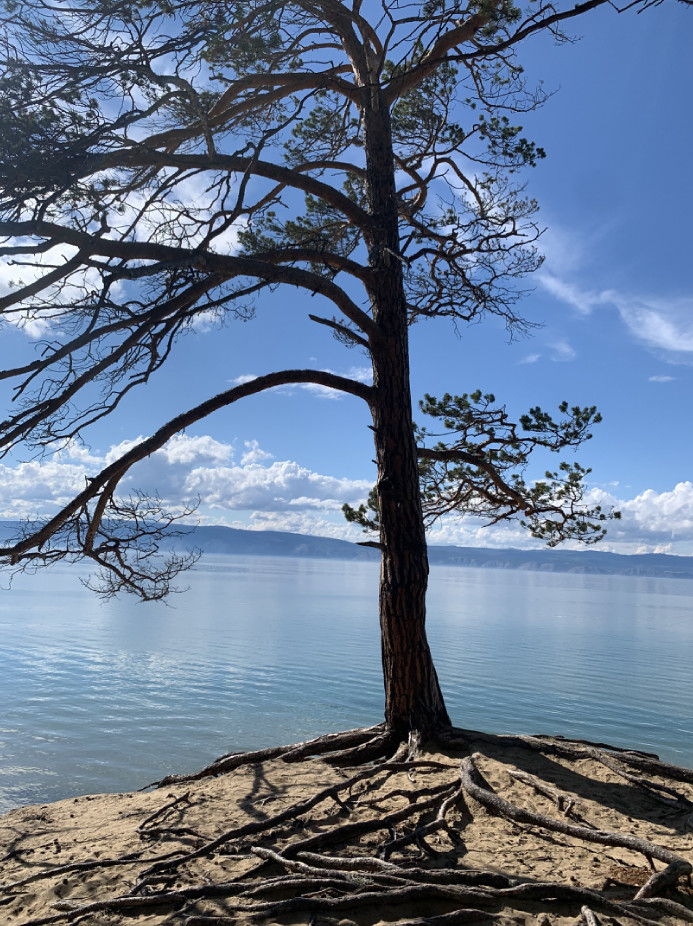 Приключения и сияние Байкала: Иркутск - Малое море  Ольхон - Хобой  и мн. др. (93/115)