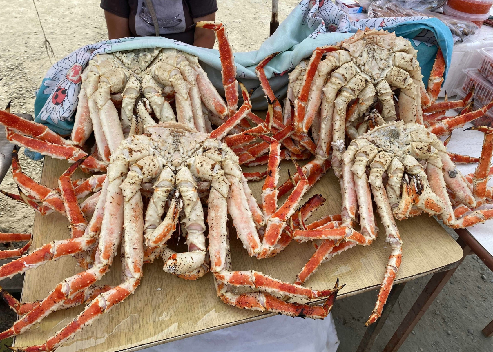  Бухта Тихая с ночевкой на берегу Охотского моря + Клоковский водопад (индивидуально или для готовых групп)  (2/10)