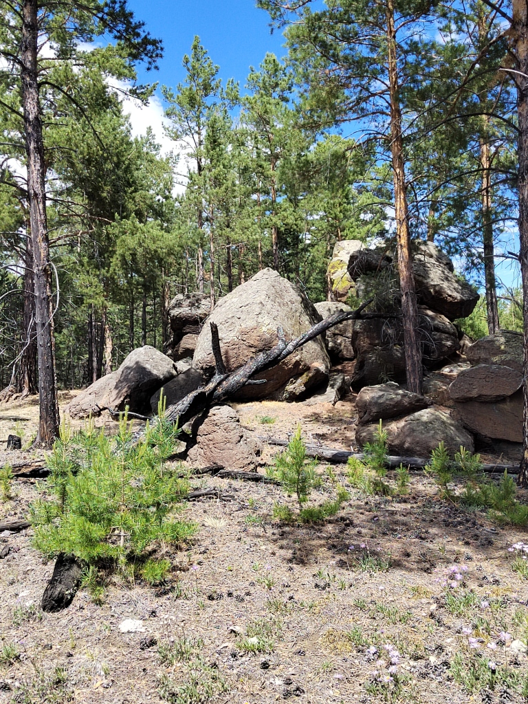 Путешествие Заповедный Байкал, комфортный, 2 дня (6/11)