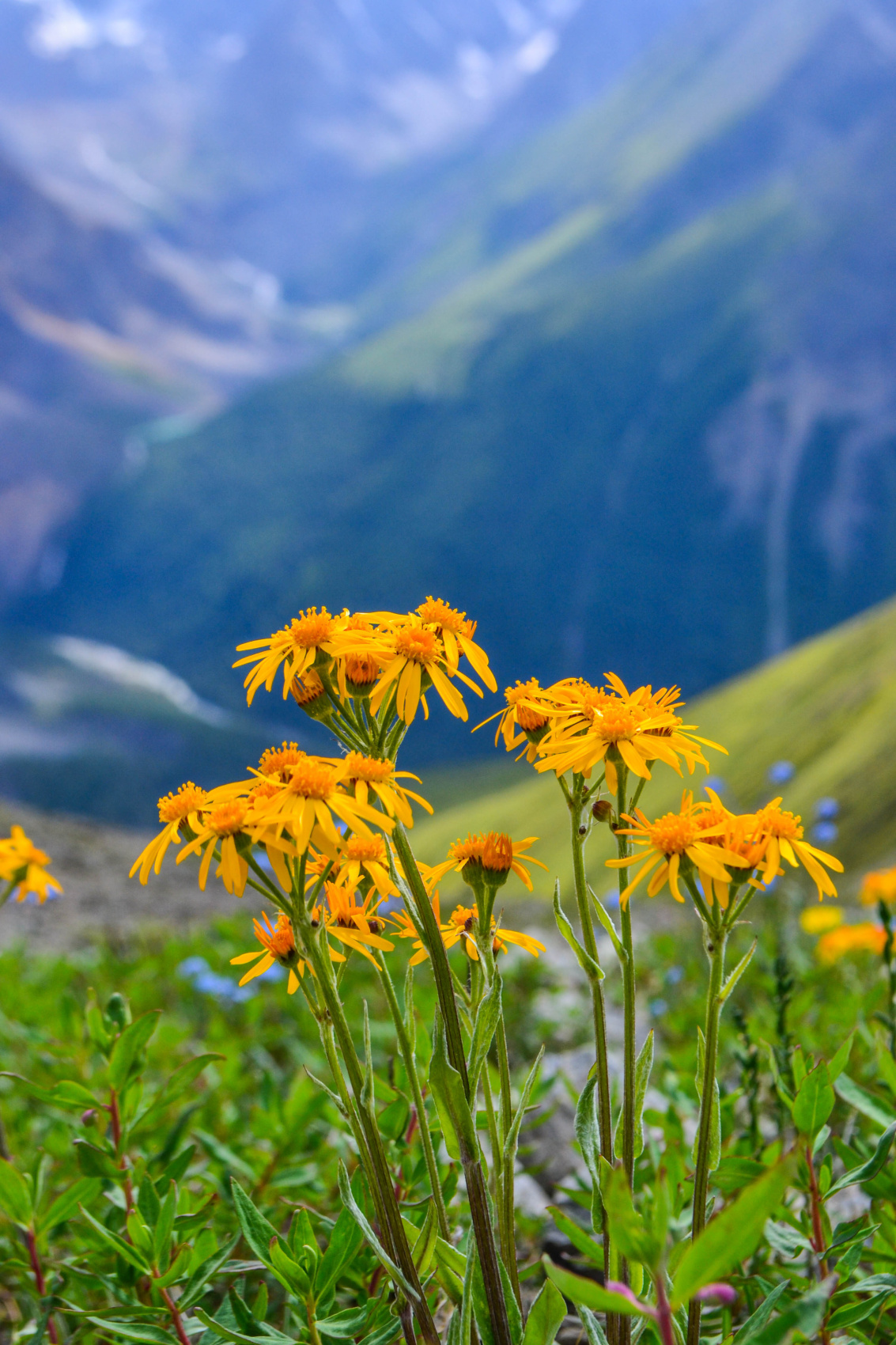 К Шавлинским озерам (8/27)