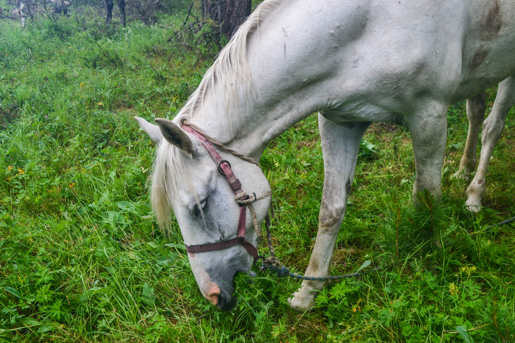 К Шавлинским озерам (5/27)