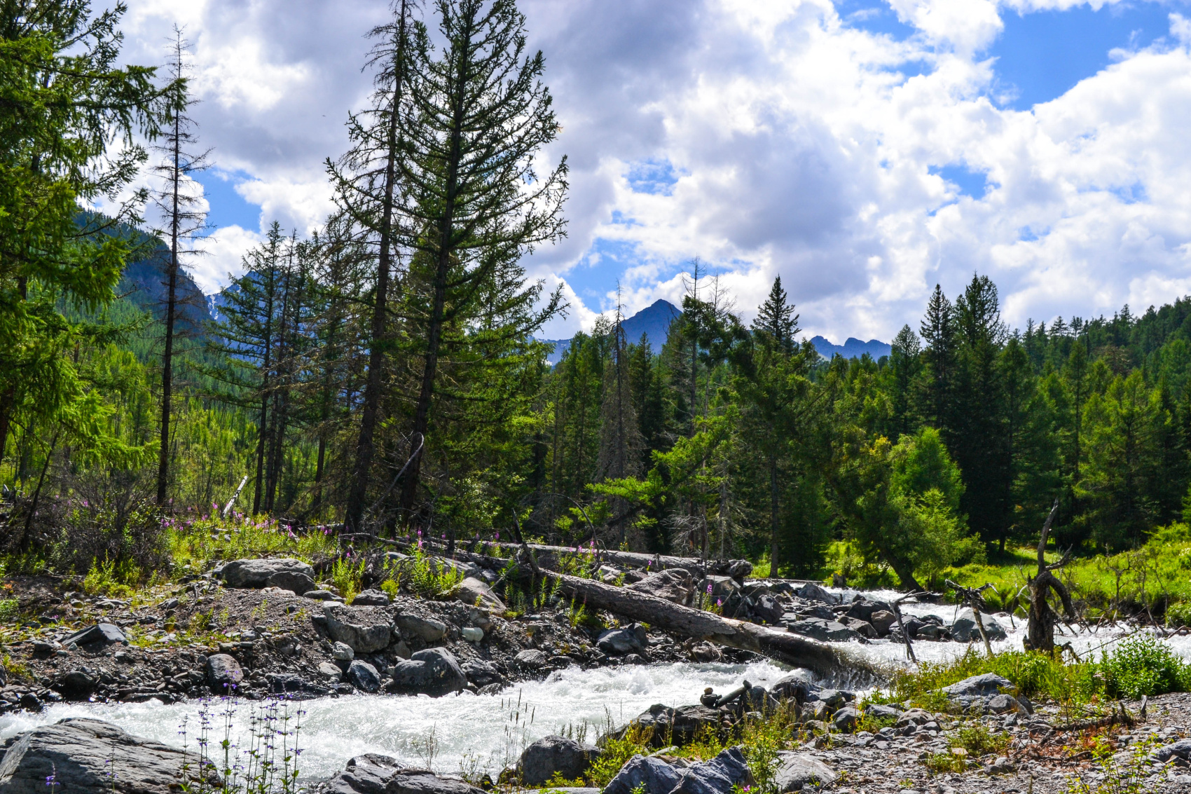 К Шавлинским озерам (6/27)