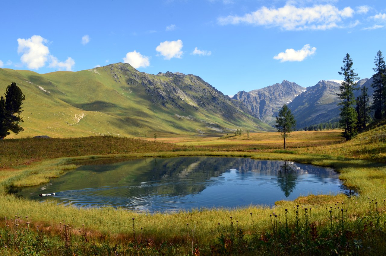 Озеро Тальменное (10/14)