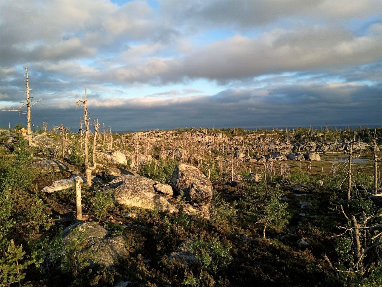 Воттоваара, Андома и Бесов нос - уникальное сочетание! (16/49)