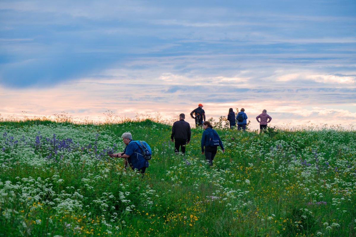 Воттоваара, Андома и Бесов нос - уникальное сочетание! (35/49)