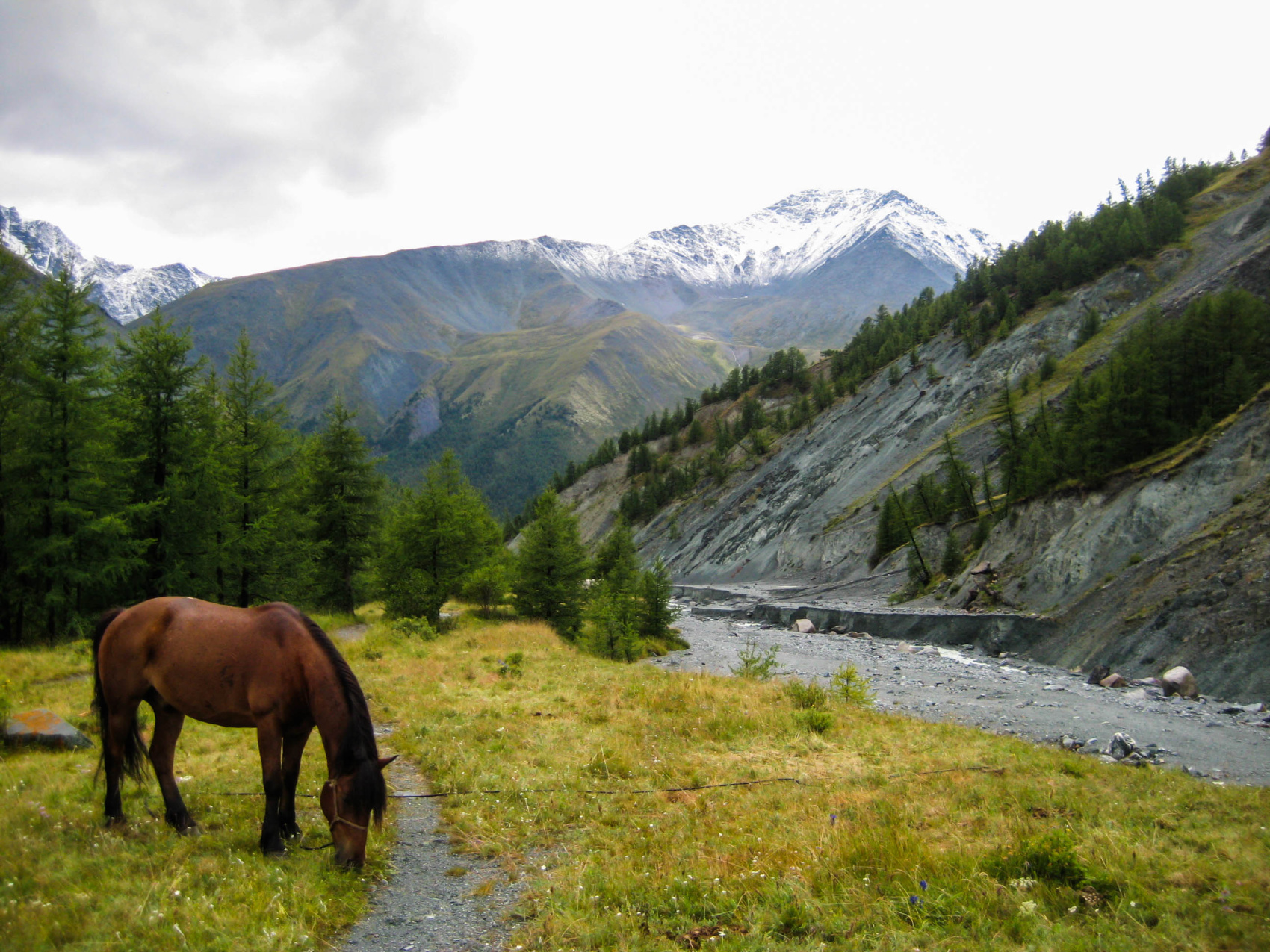 К подножью Белухи (6/31)