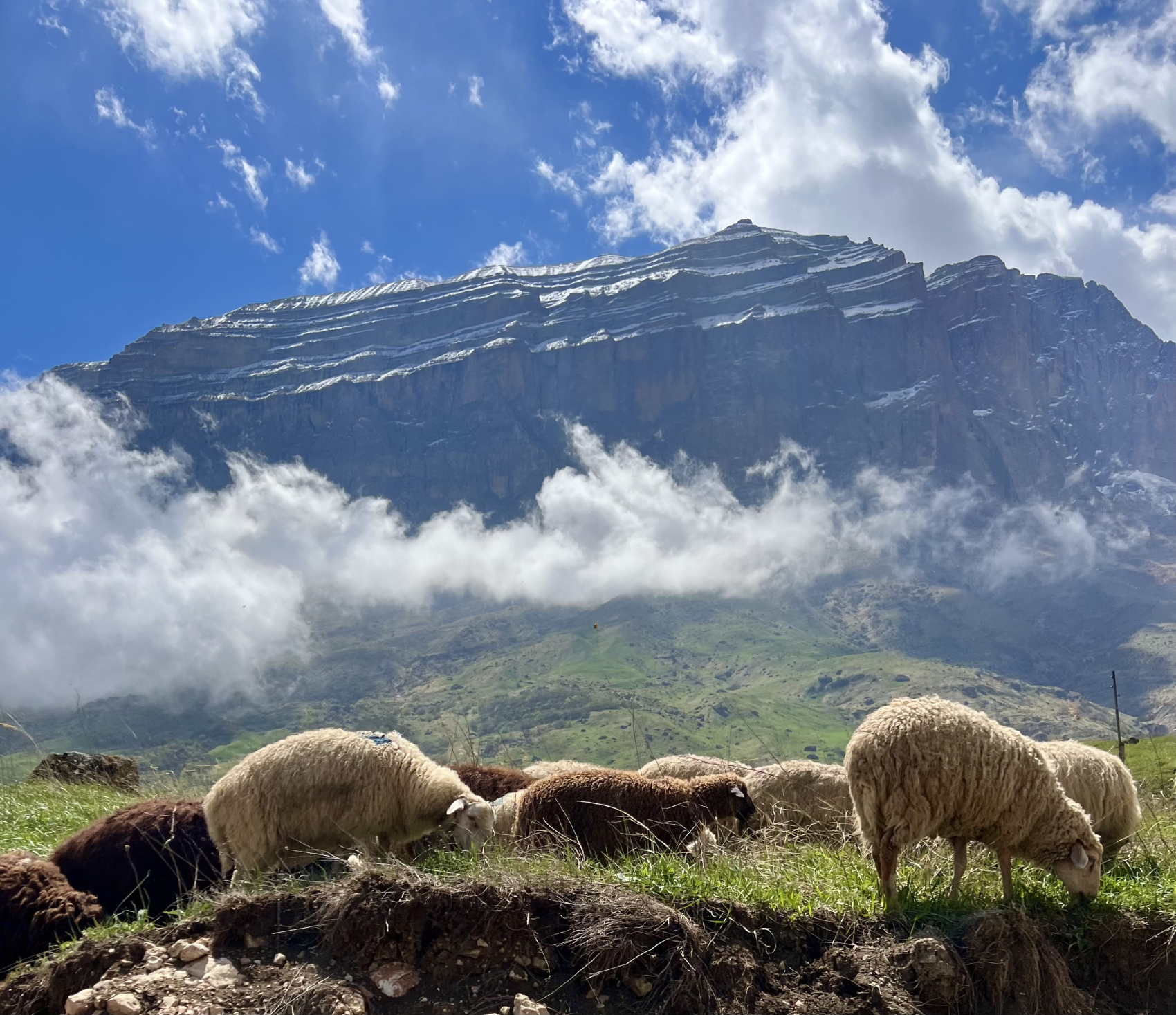 Летний тур по Южному Дагестану 5 дней. Все включено! (12/53)
