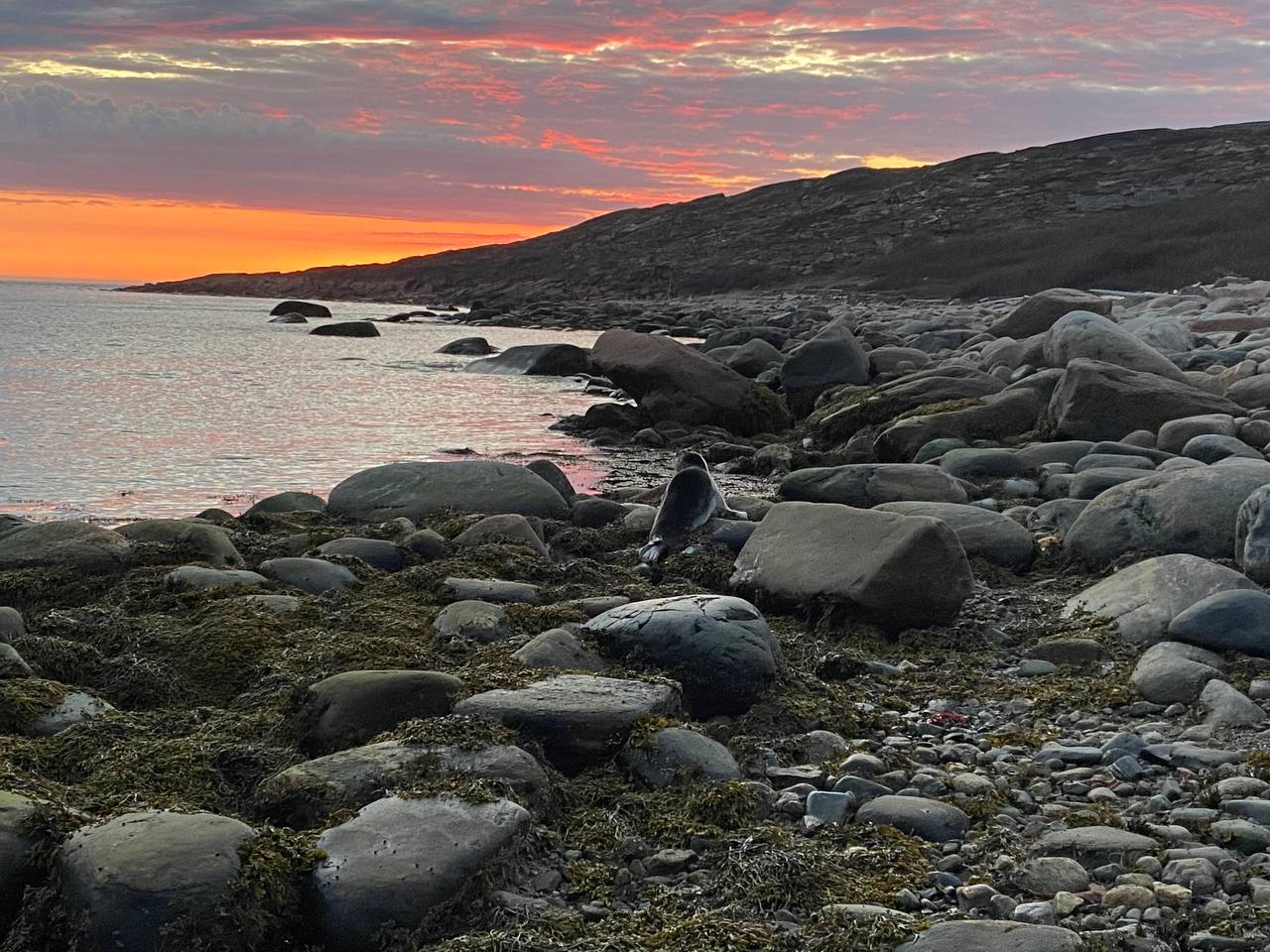 Отдых на необитаемом острове. Белое море. (16/42)