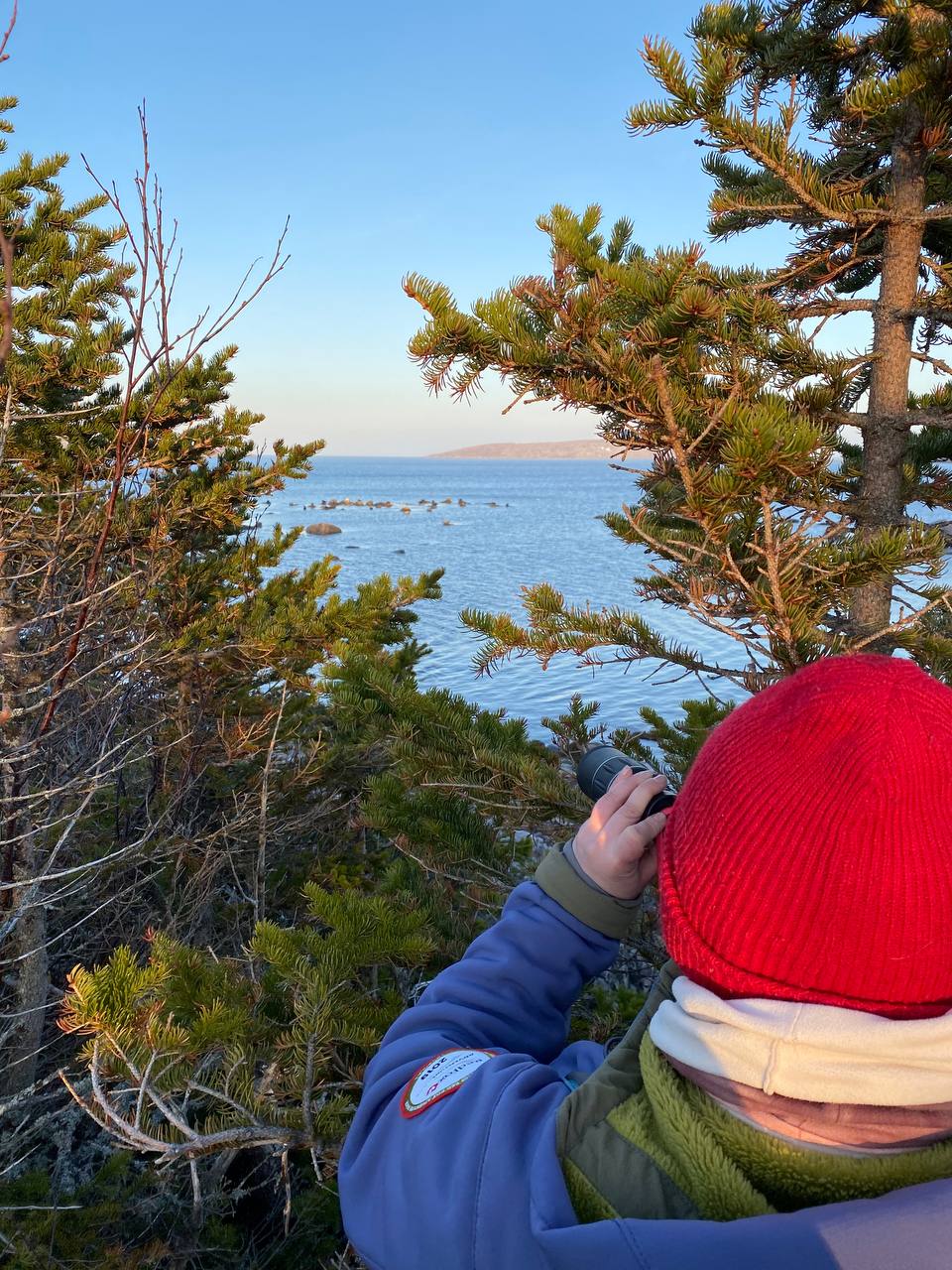 Отдых на необитаемом острове. Белое море. (20/42)