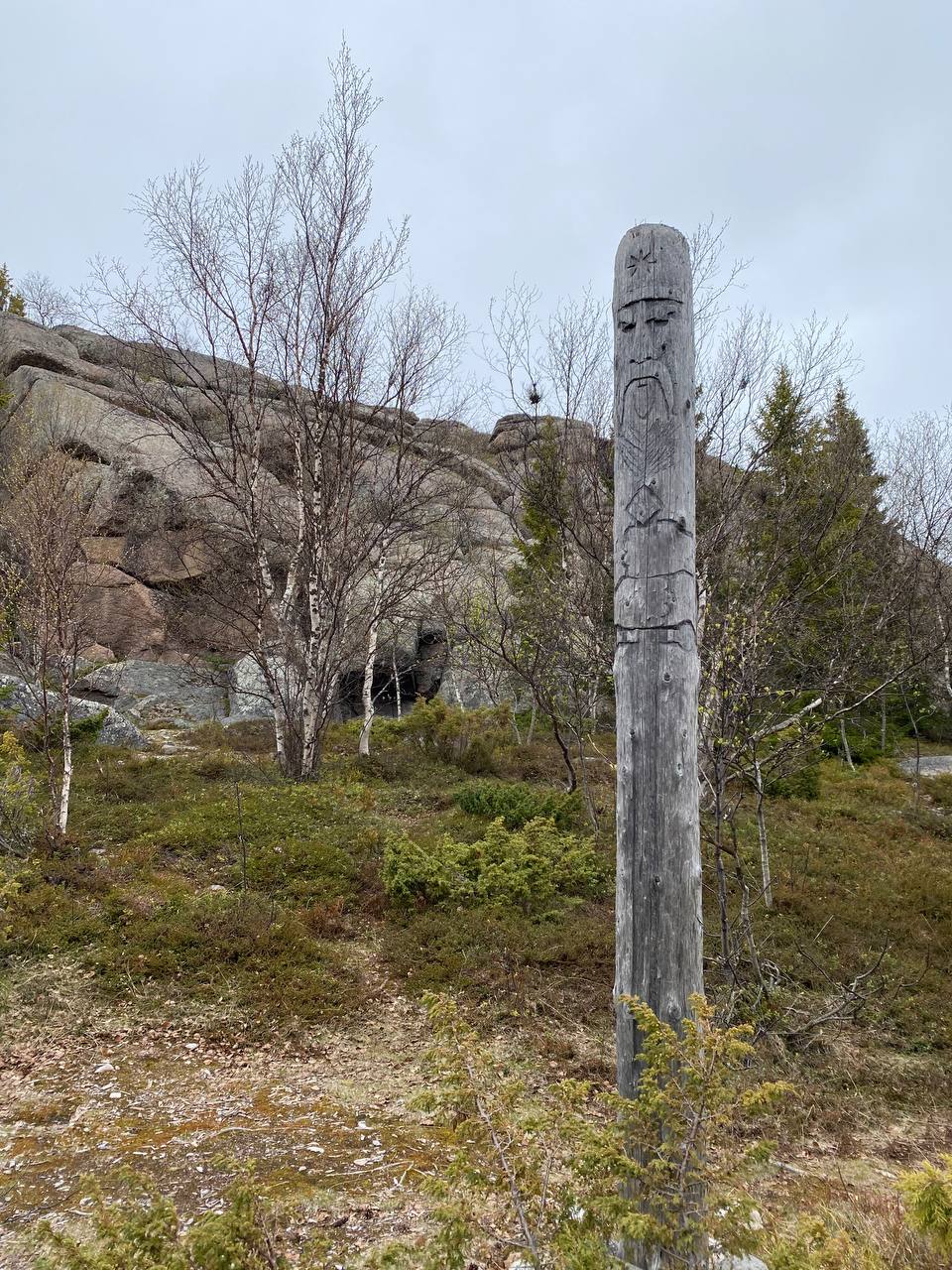 Отдых на необитаемом острове. Белое море. (14/42)