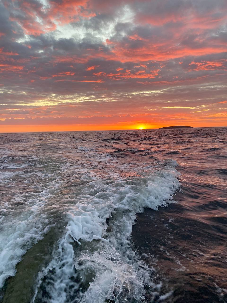 Отдых на необитаемом острове. Белое море. (15/42)