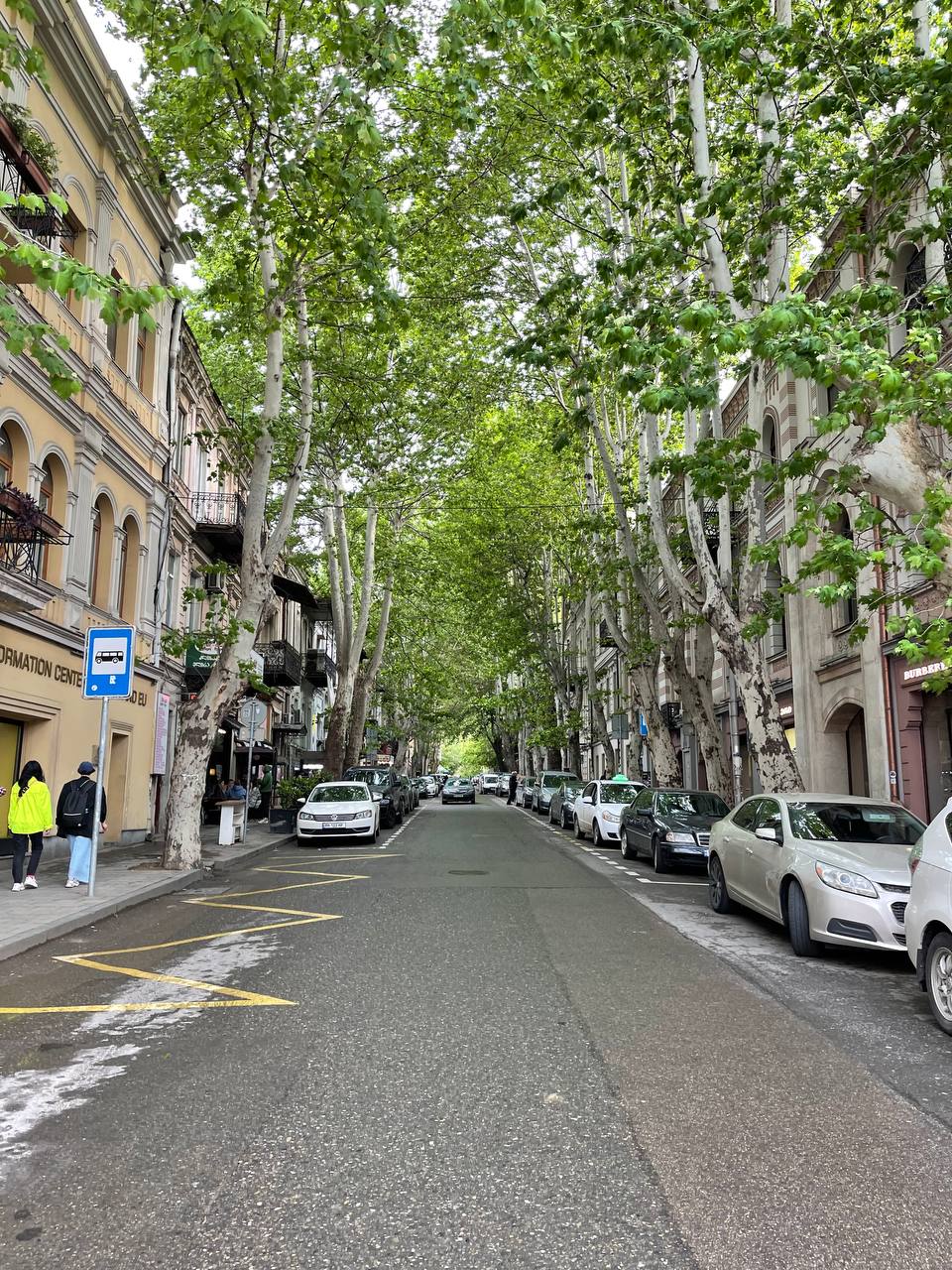 Вкусная Грузия (31/57)