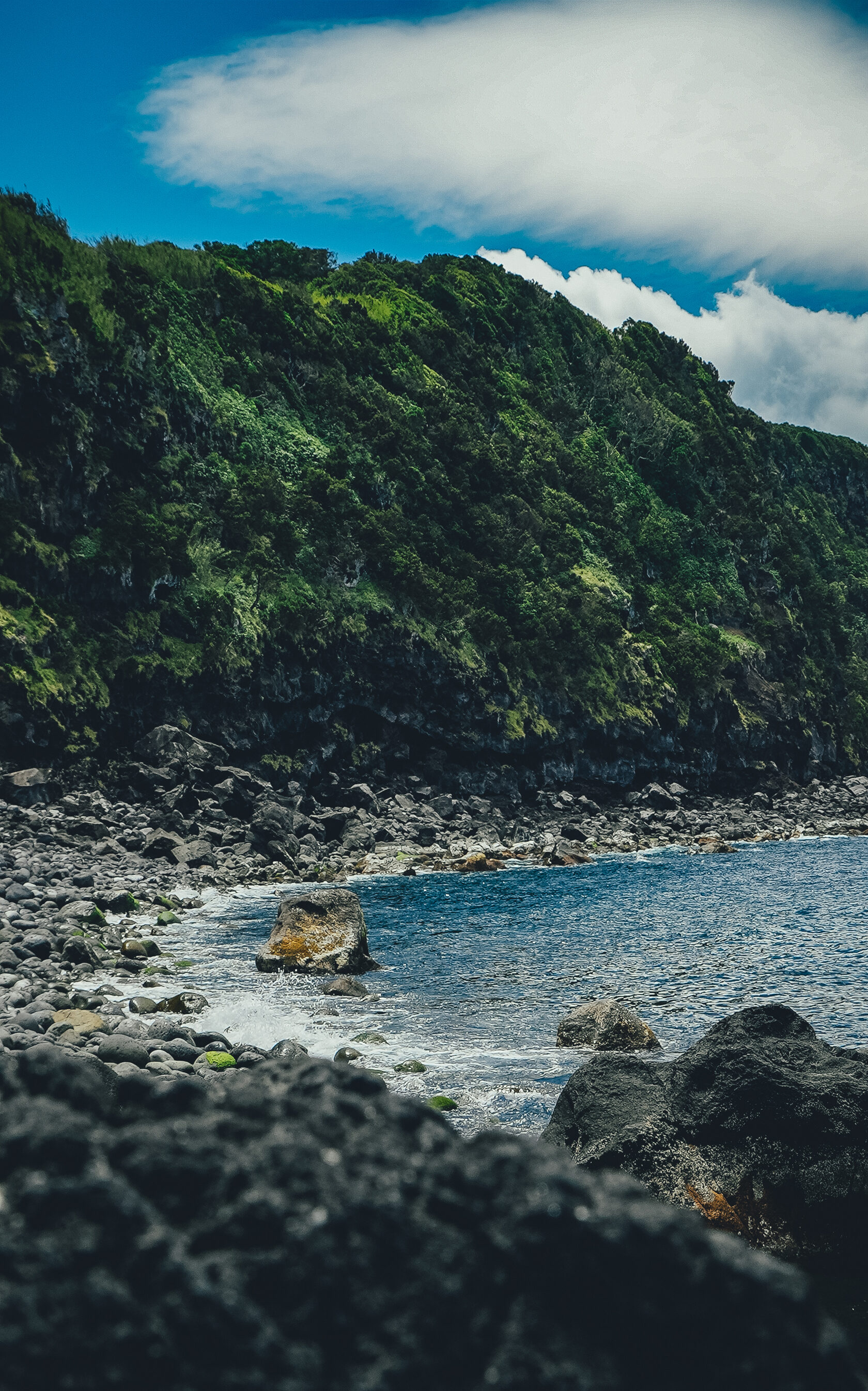 Затерянный мир: Азорские острова (40/55)