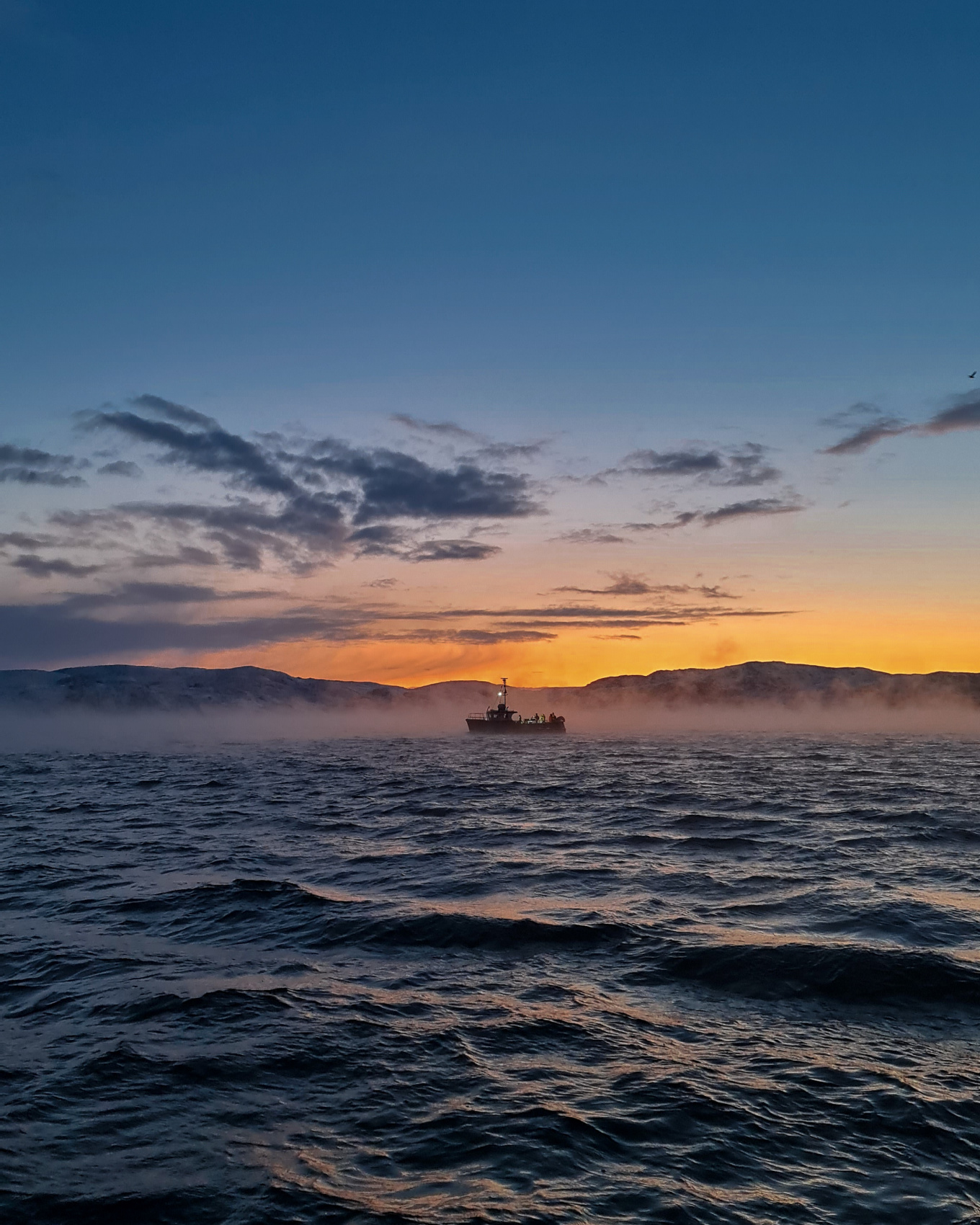 Териберка, Киты, Крабы, Баня. Всё Включено (7/38)