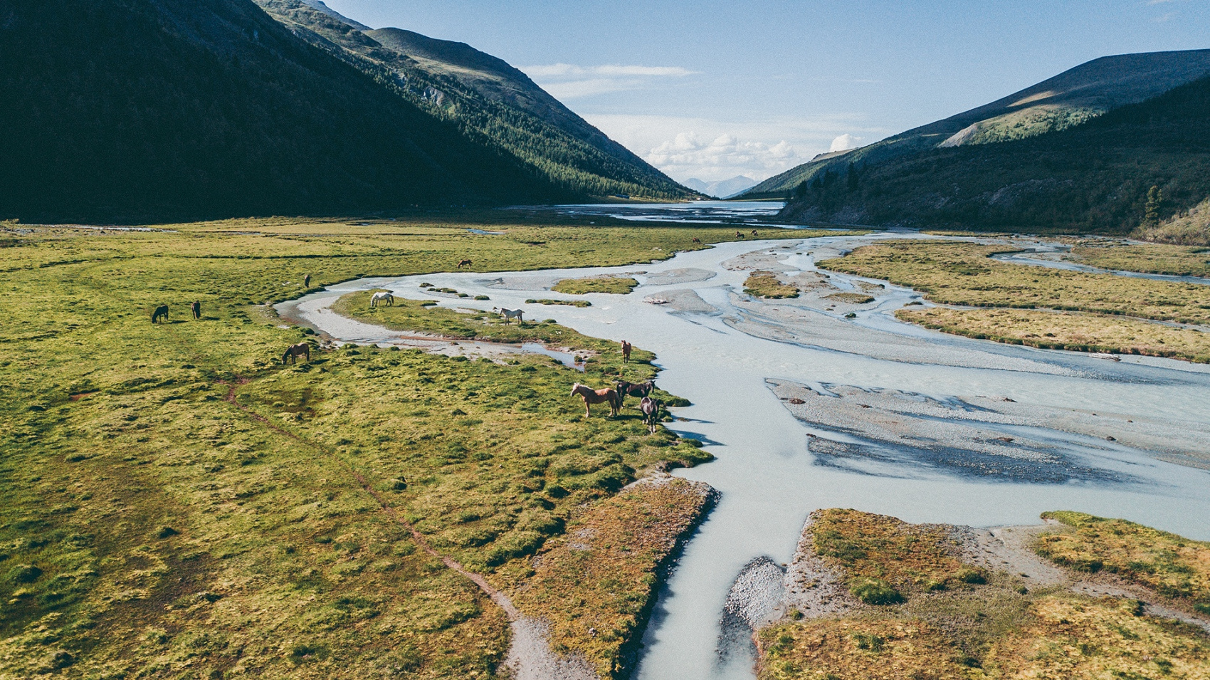 Алтай. К подножию Белухи (8/44)