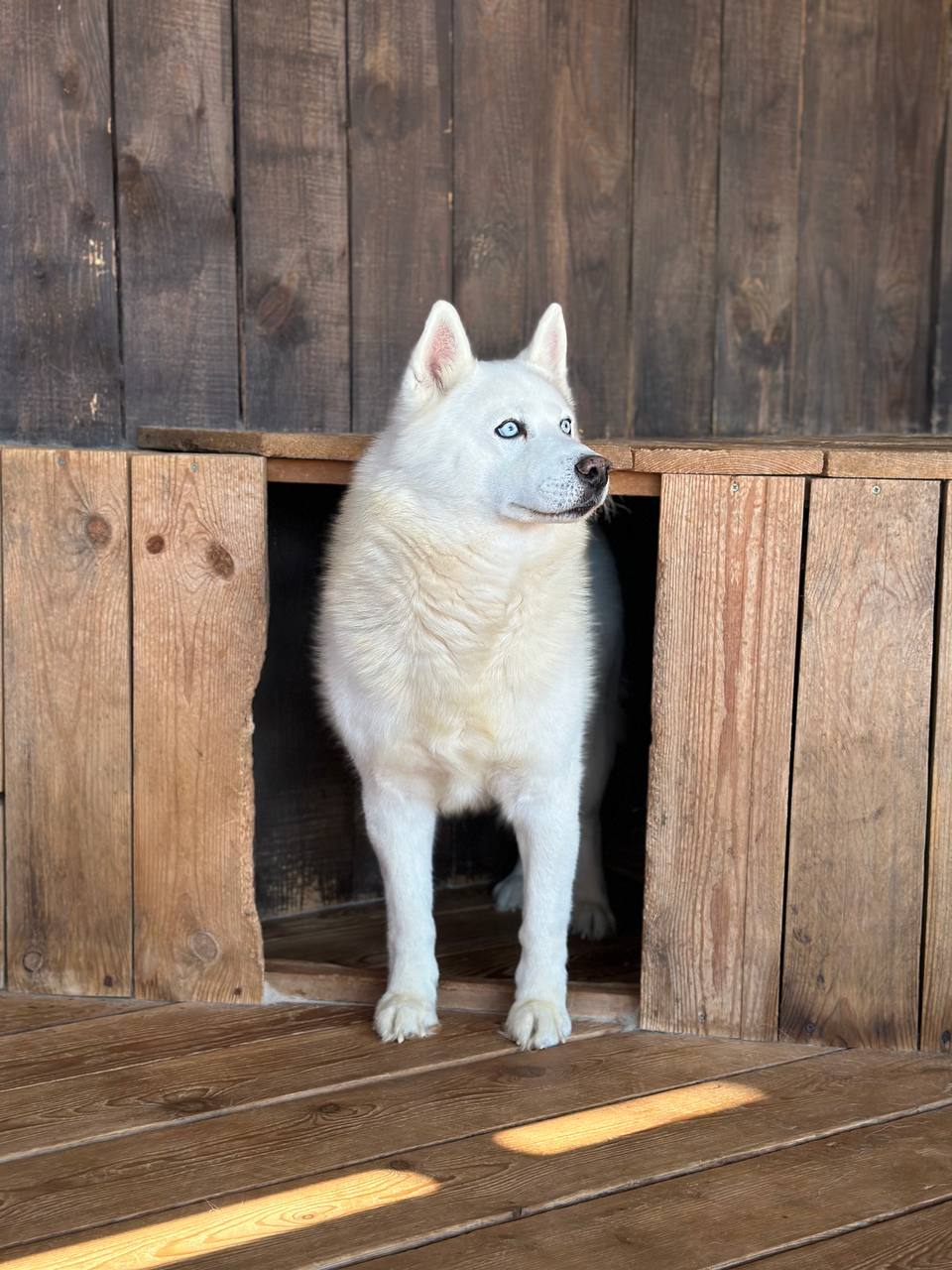 Все включено, Алтай на максимум за 5 дней (баня, конная прогулка, внедорожник) (67/162)