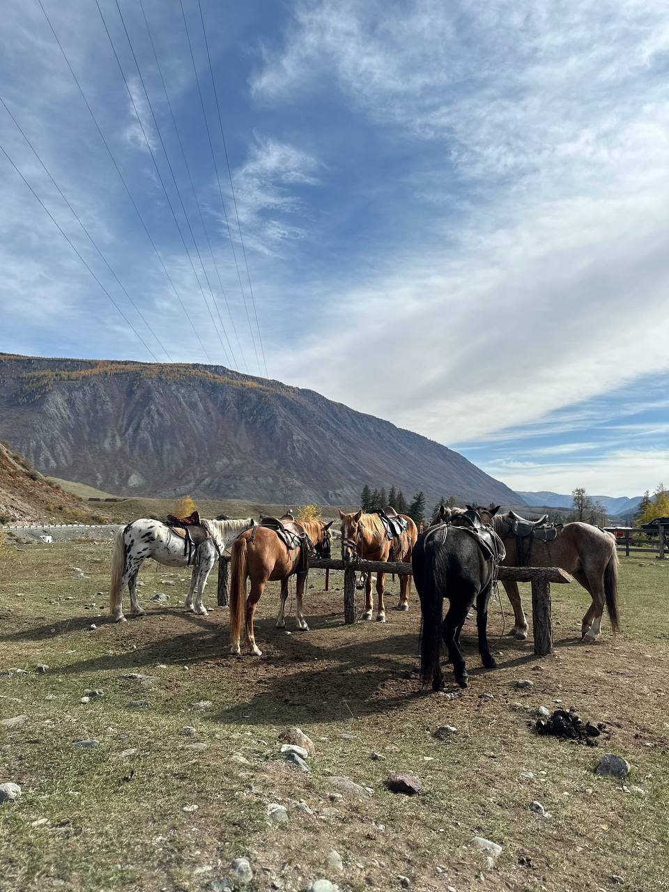Все включено, Алтай на максимум за 5 дней (баня, конная прогулка, внедорожник) (54/162)
