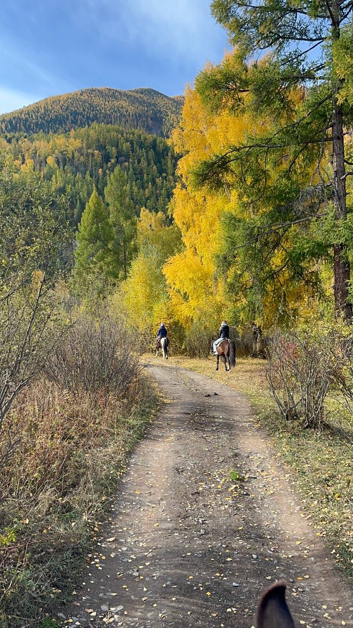 Все включено, Алтай на максимум за 5 дней (баня, конная прогулка, внедорожник) (59/162)