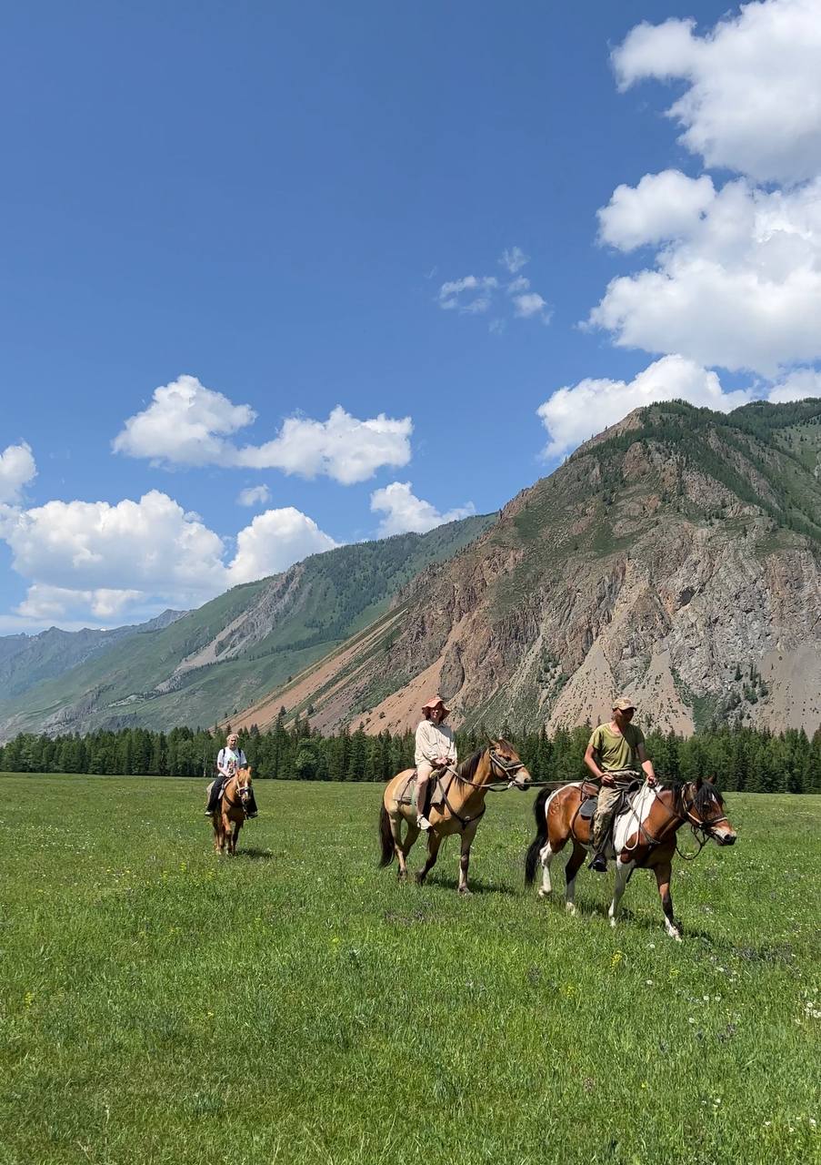 Все включено, Алтай на максимум за 5 дней (баня, конная прогулка, внедорожник) (50/162)