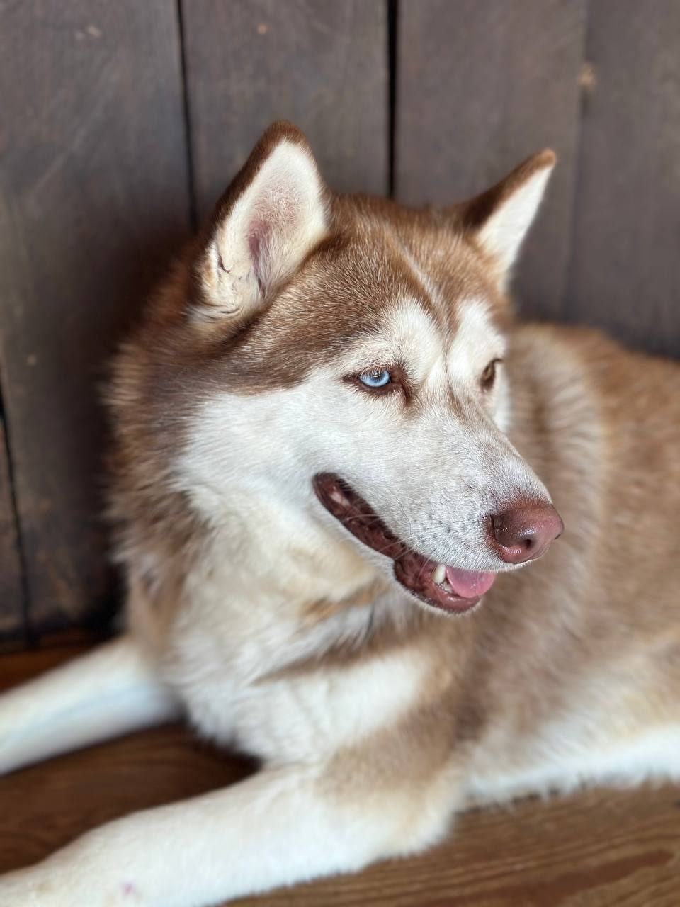Все включено, Алтай на максимум за 5 дней (баня, конная прогулка, внедорожник) (69/162)