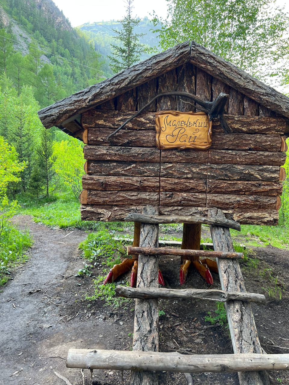 Все включено, Алтай на максимум за 5 дней (баня, конная прогулка, внедорожник) (31/162)