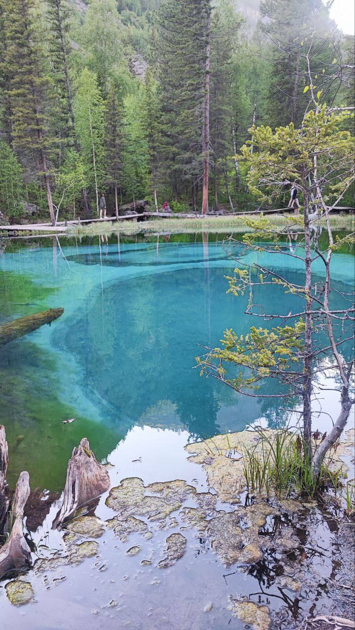 Все включено, Алтай на максимум за 5 дней (баня, конная прогулка, внедорожник) (35/162)