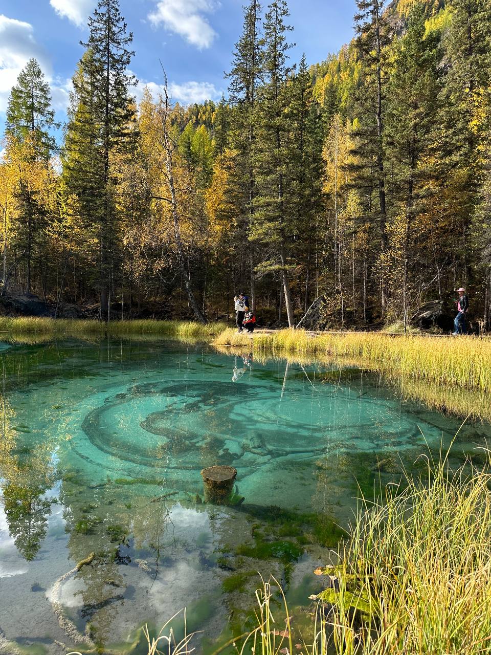 Все включено, Алтай на максимум за 5 дней (баня, конная прогулка, внедорожник) (58/162)