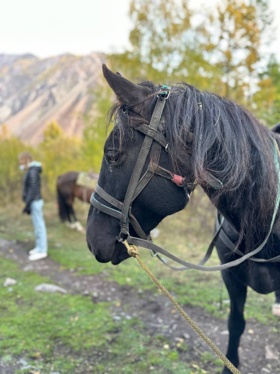 Все включено, Алтай на максимум за 5 дней (баня, конная прогулка, внедорожник) (56/162)