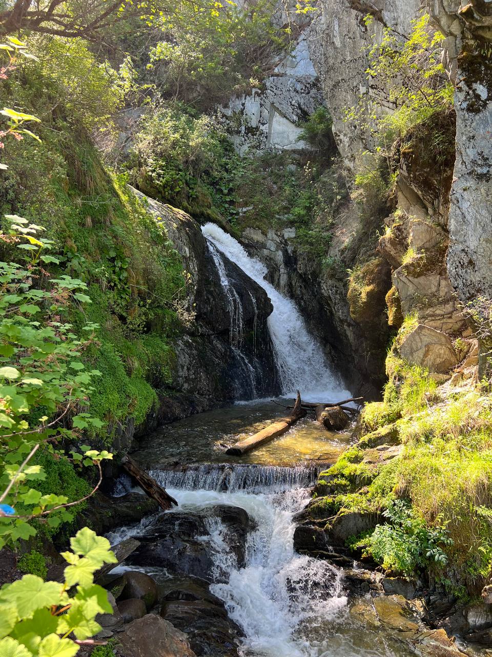 Все включено, Алтай на максимум за 5 дней (баня, конная прогулка, внедорожник) (14/162)