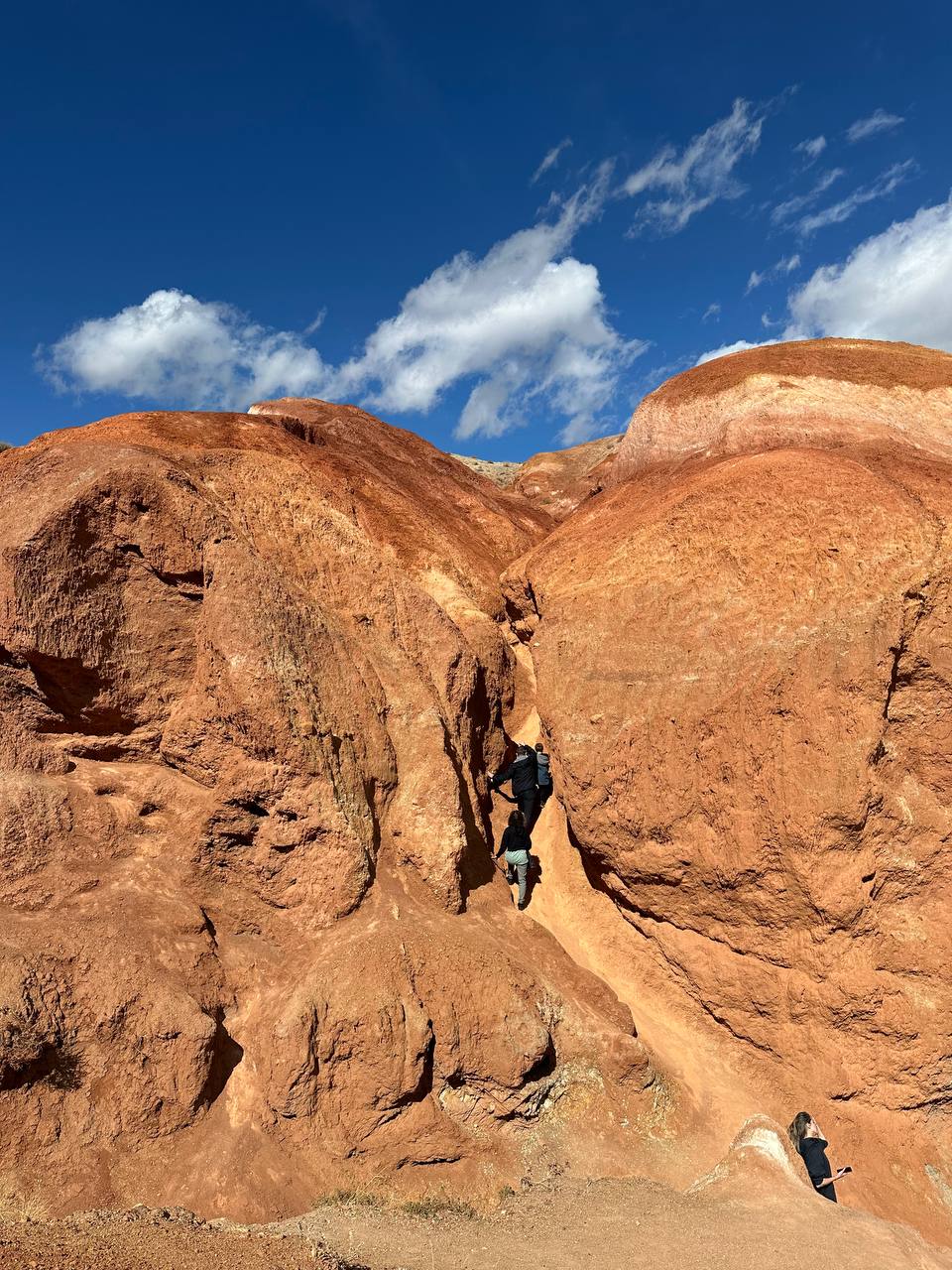 Все включено, Алтай на максимум за 5 дней (баня, конная прогулка, внедорожник) (53/162)