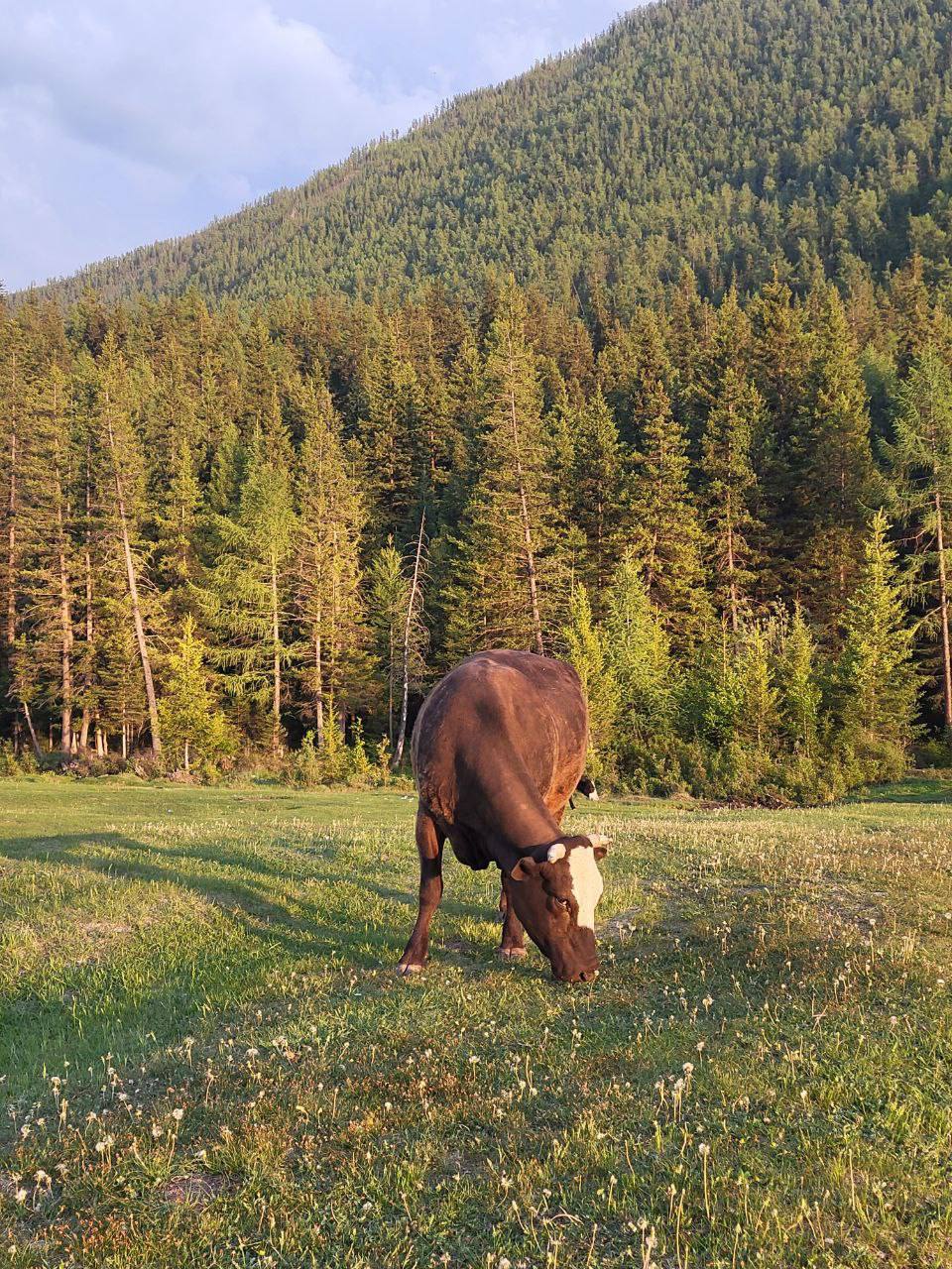 Все включено, Алтай на максимум за 5 дней (баня, конная прогулка, внедорожник) (26/162)