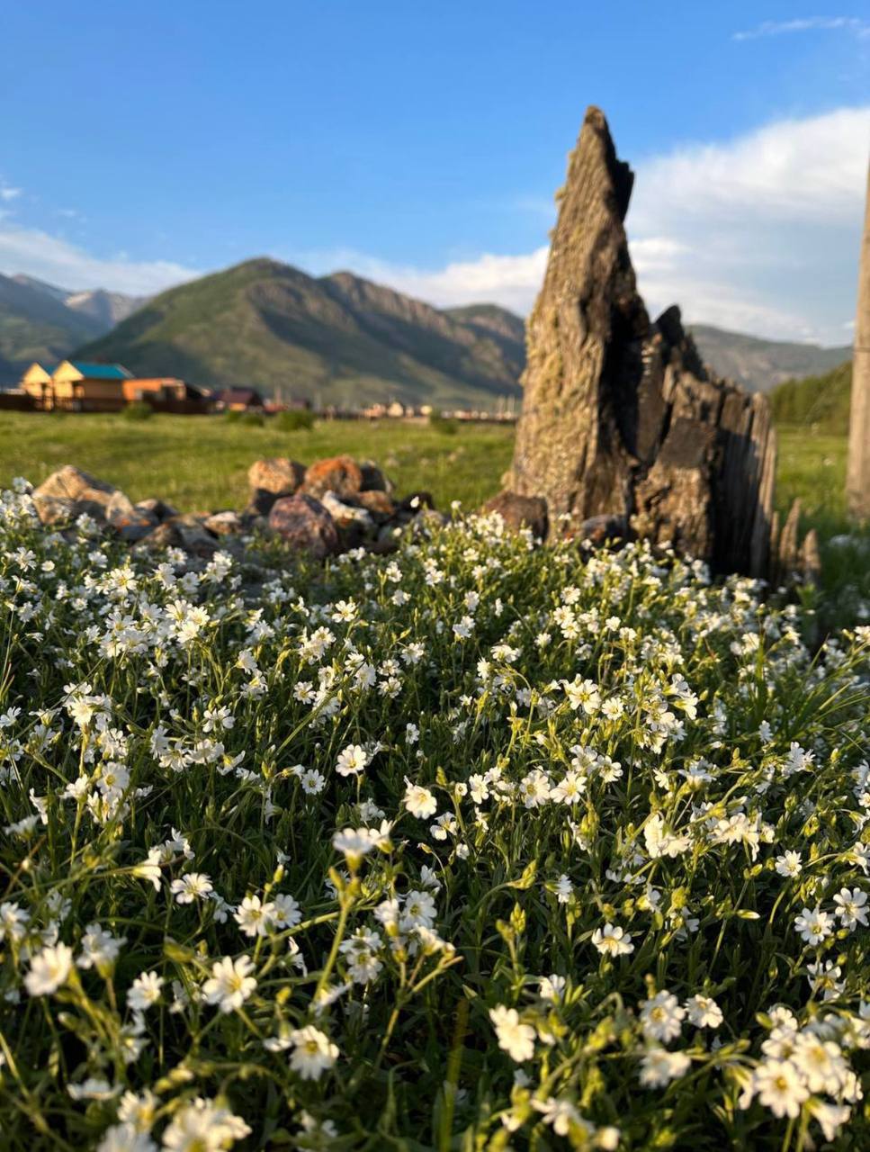 Все включено, Алтай на максимум за 5 дней (баня, конная прогулка, внедорожник) (46/162)