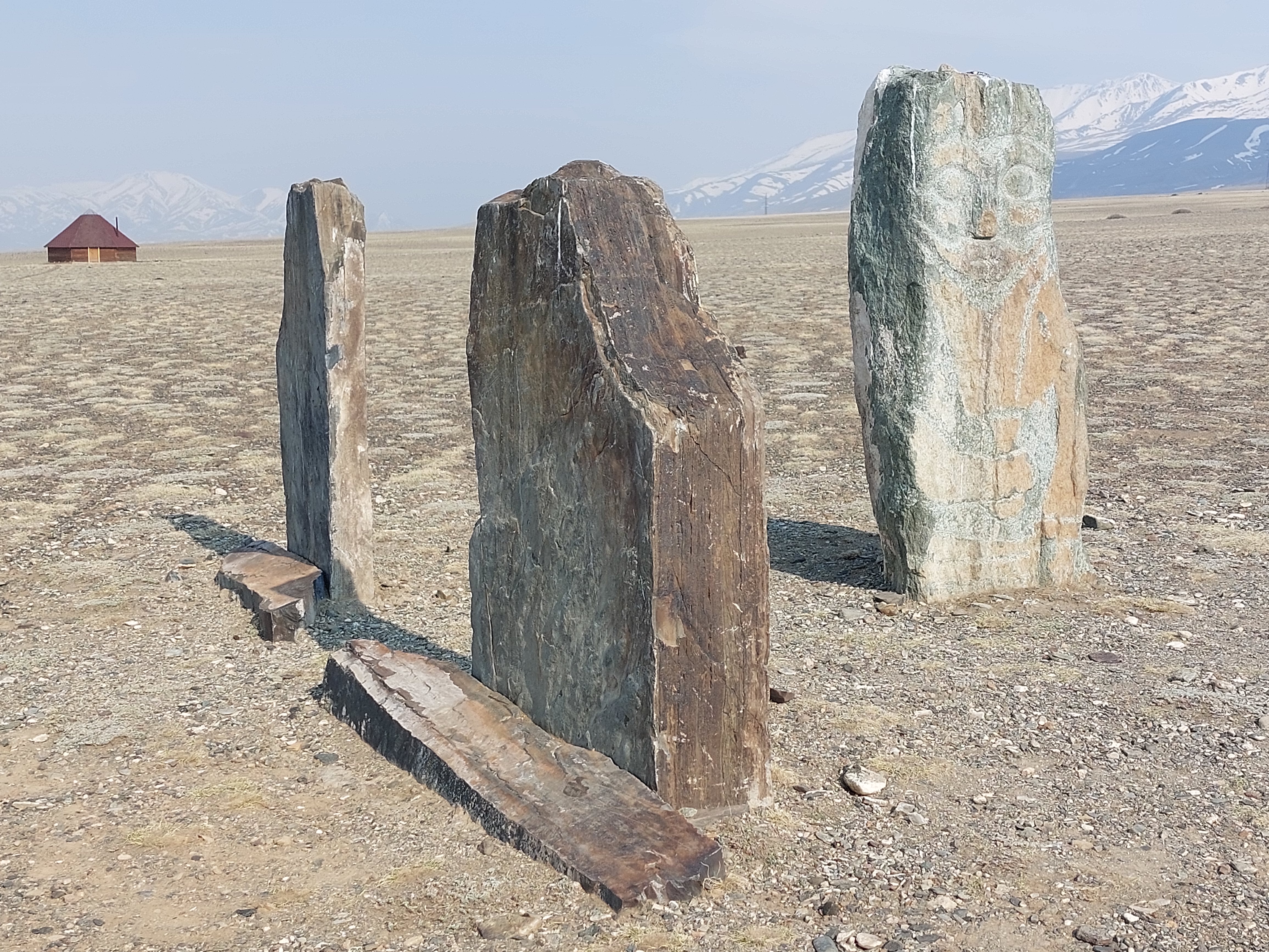 Цветение маральника. Автотур по Чуйскому тракту (20/28)