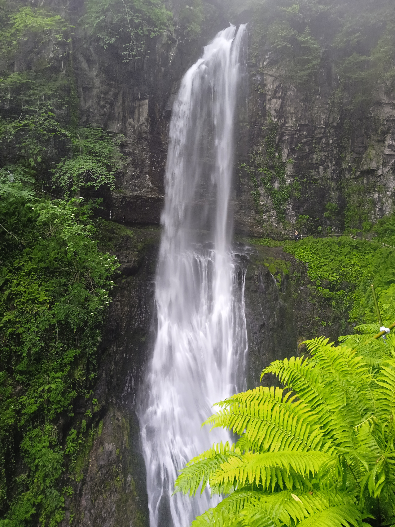 Майский активный мультитур Другая Абхазия (23/55)