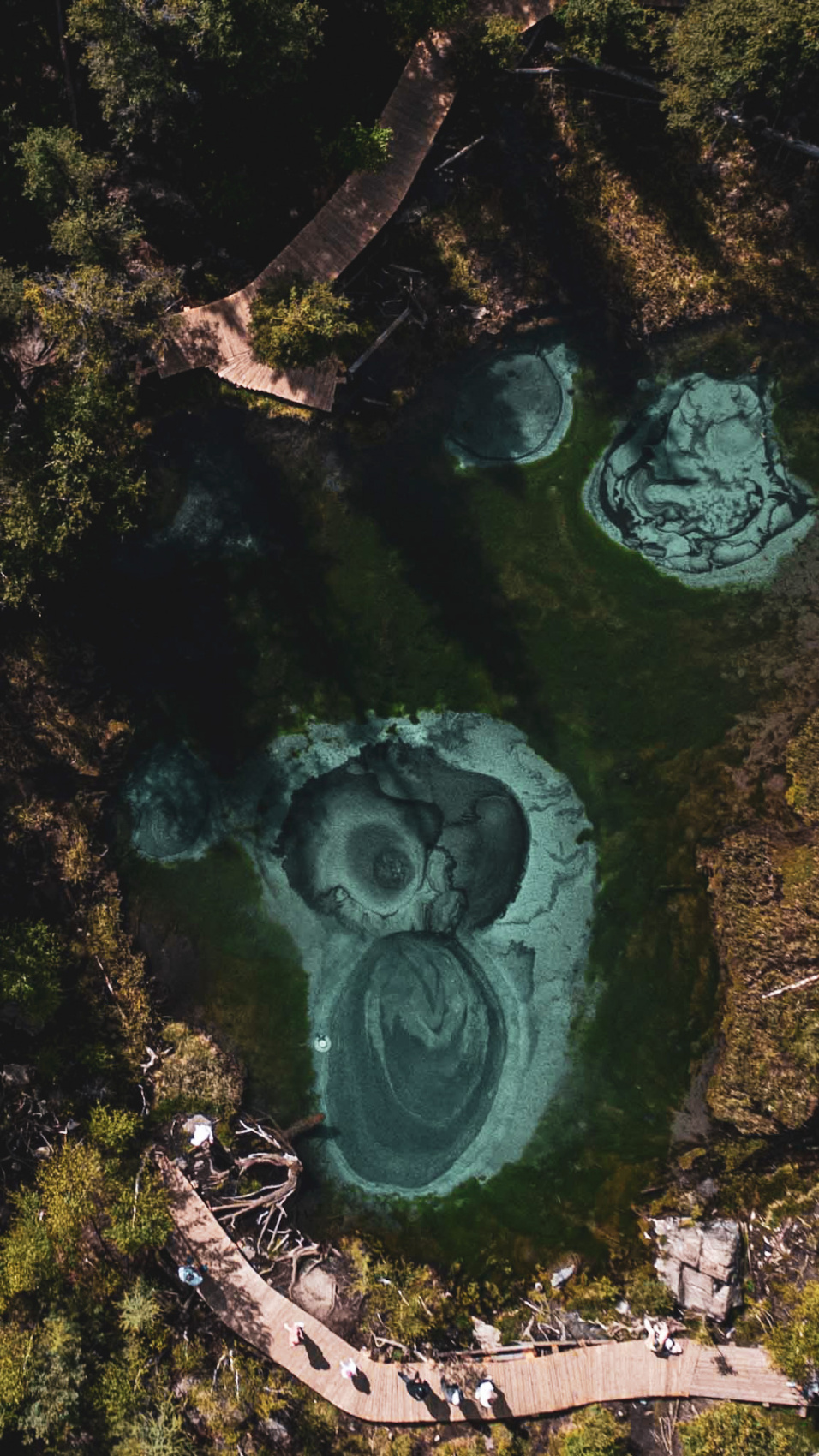 Алтай. Хапнуть Горы!  (4/83)