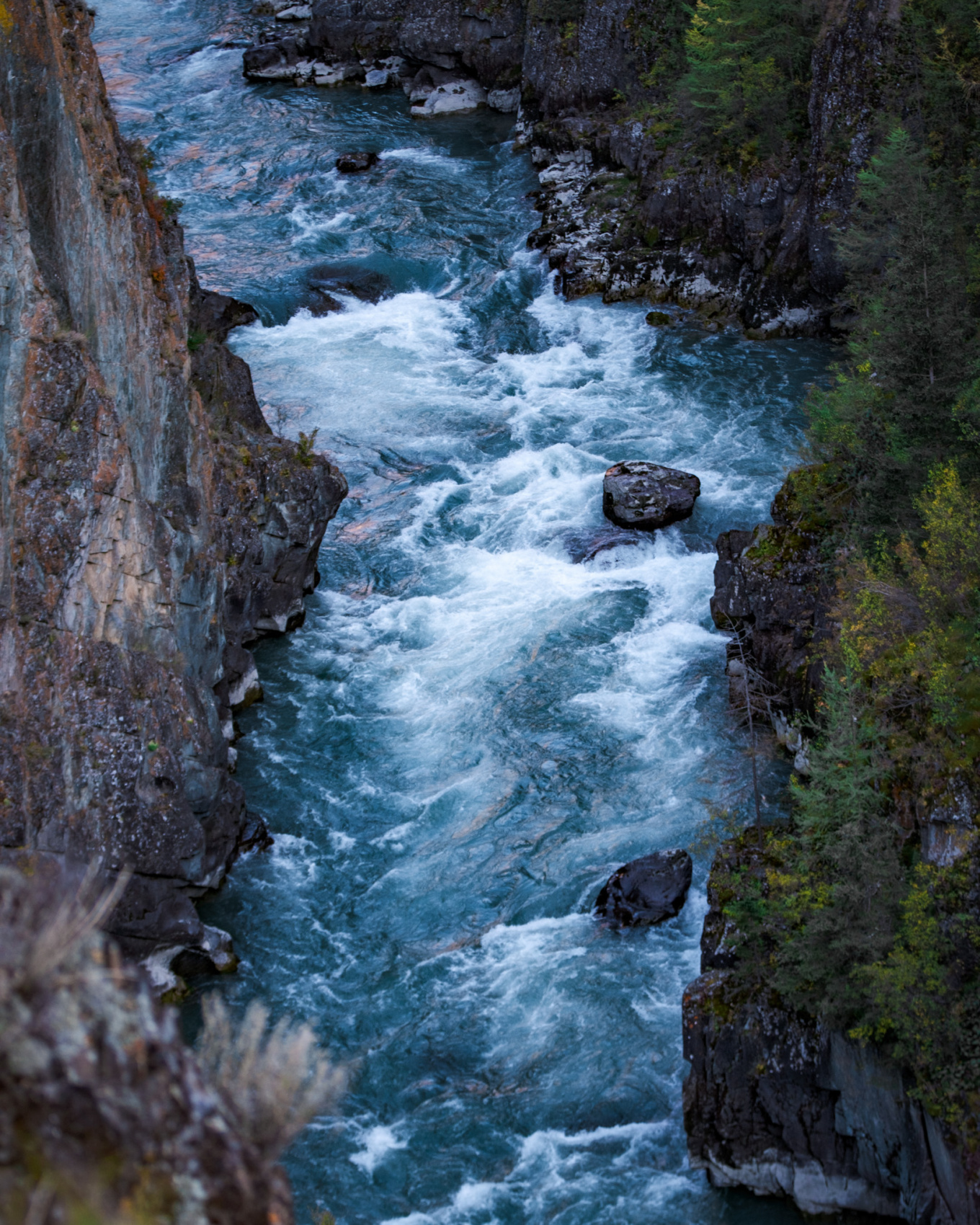 Алтай. Хапнуть Горы!  (23/83)