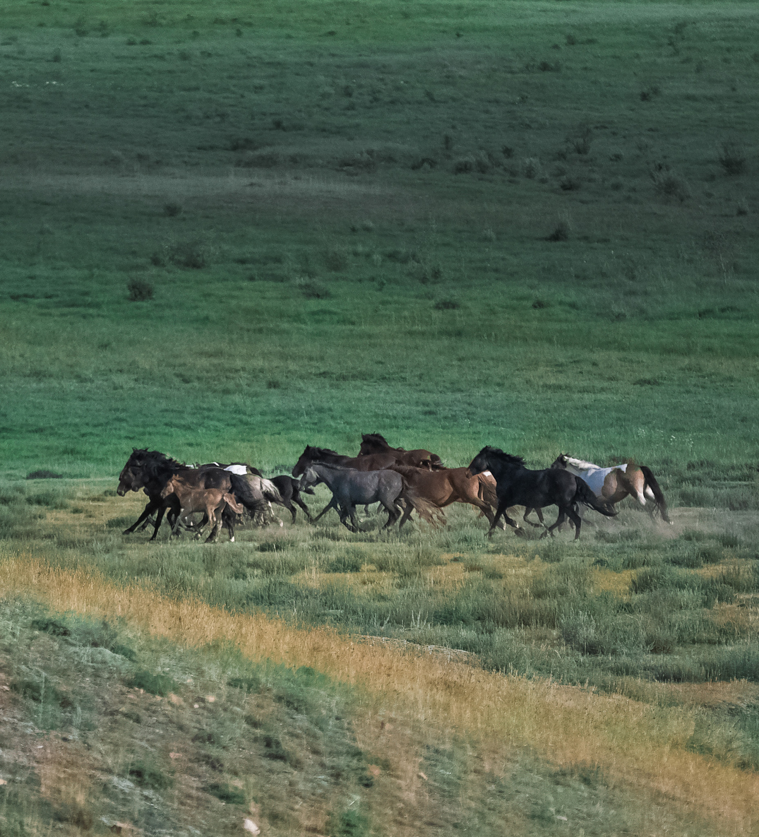 Алтай. Хапнуть Горы!  (19/83)