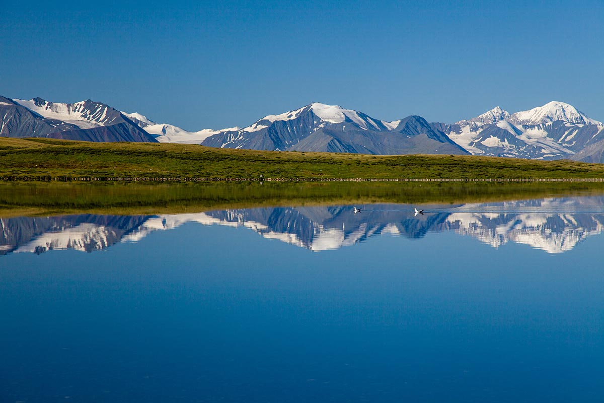 Тур на плато Укок 6 дней (13/26)