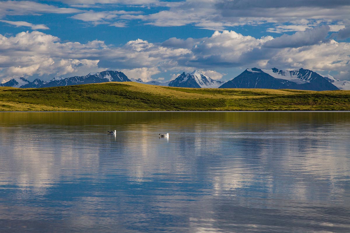 Тур на плато Укок 6 дней (12/26)